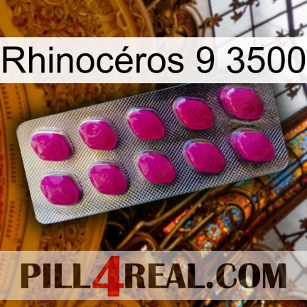 Rhinocéros 9 3500 09